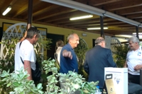 Clicca sulla foto per vedere ingrandimento